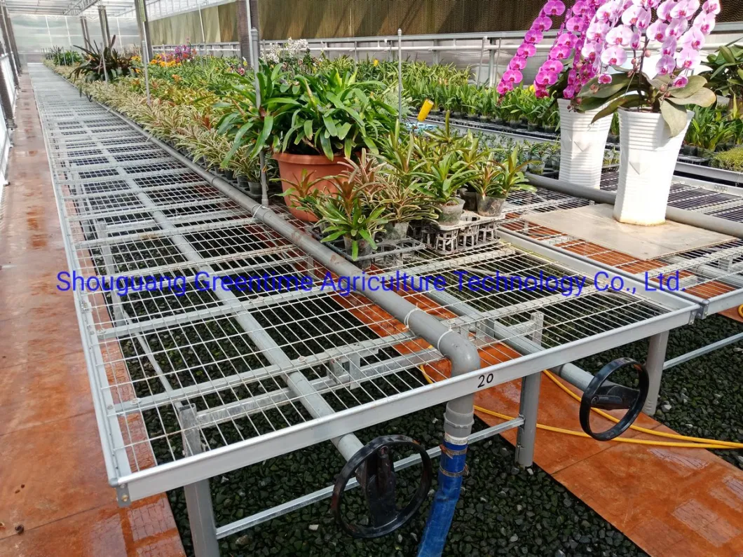 4X8&prime; Greenhouse Nursery Benches/Rolling Bench Table/Seedling Bed/Tray Seedbed